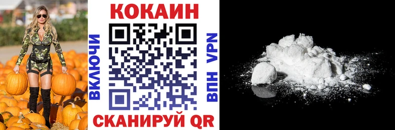 Cocaine FishScale  магазин продажи наркотиков  Малая Вишера 