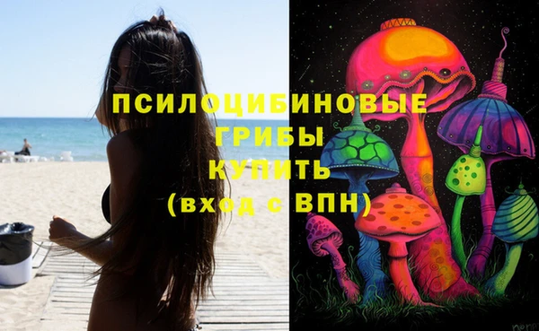прущий лед Аркадак