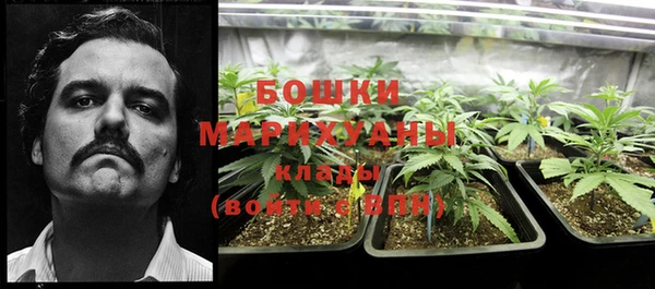 дживик Киреевск